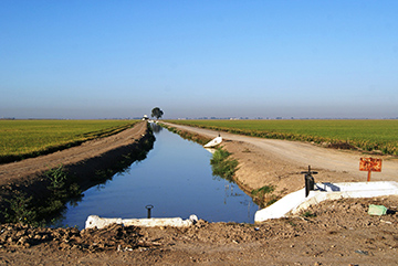 Distribution Canal to the Left Bank of the Guadalquivir Rice Zone