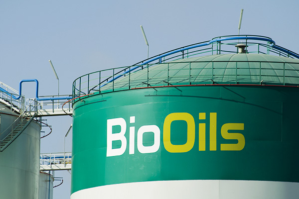 Planta de Biodiesel 